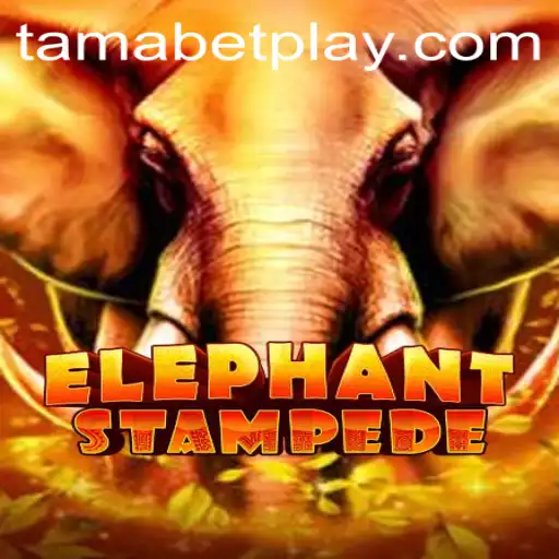 The ElephantStampede Adventure: A Wild Ride with TAMABET