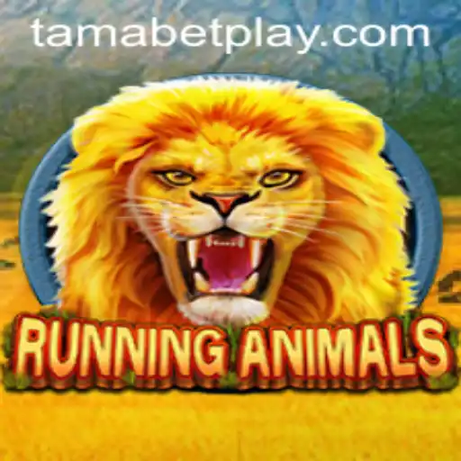 RunningAnimals TAMABET: An Exciting Adventure Awaits