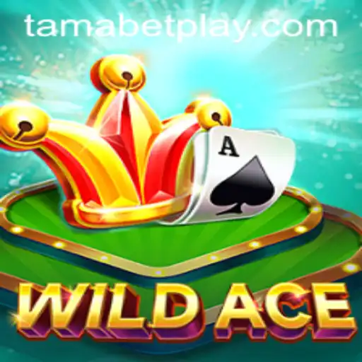 Unveiling the Thrills of WildAce: A Dive into TAMABET